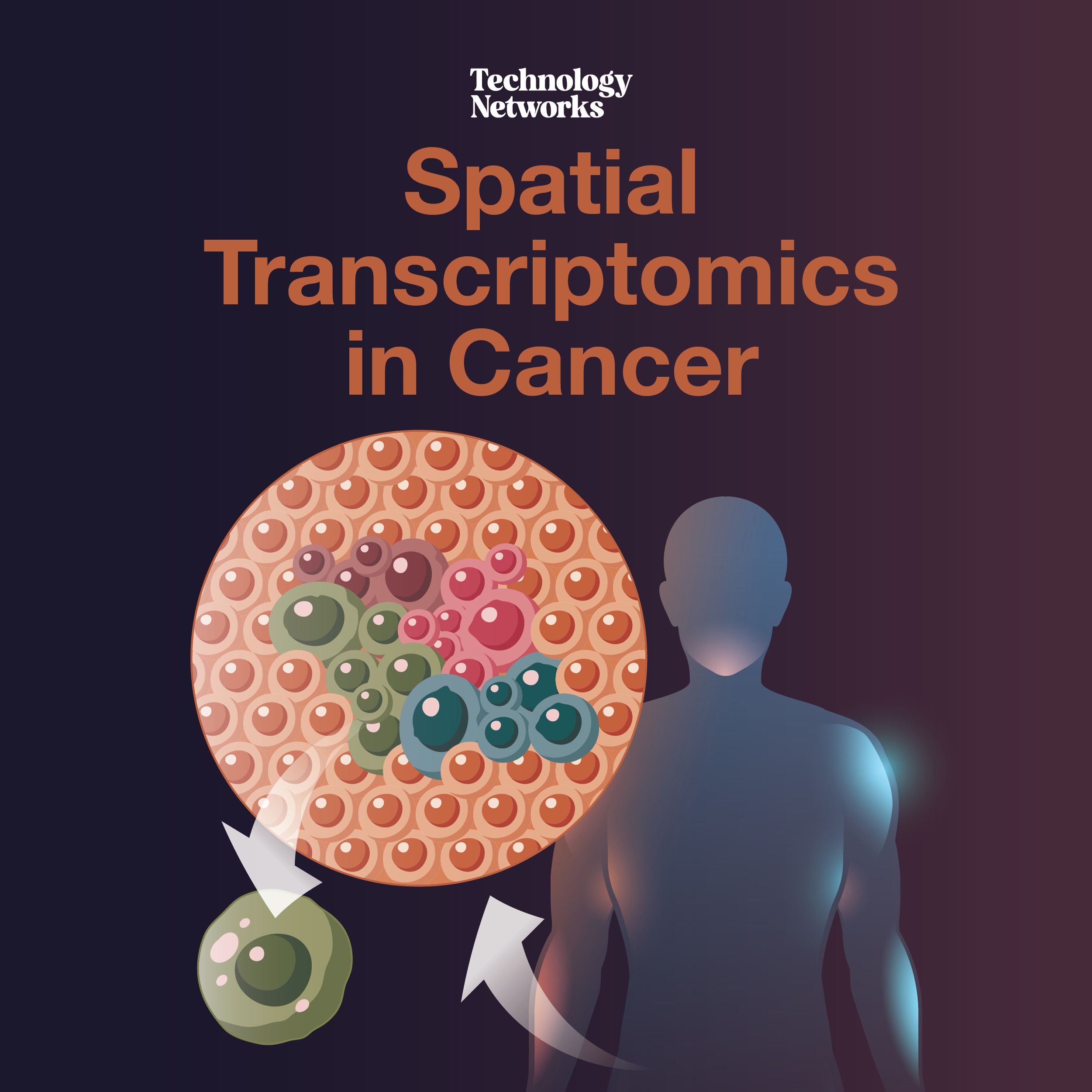 Spatial Transcriptomics In Cancer